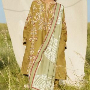 High Quality Dhanak Fabric