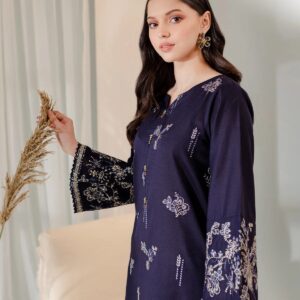 Raina 2PC Embroidered Winter Suit