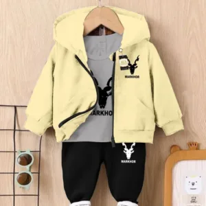 Imported Comfy Winter Track Suit for Kids – Sweatshirt, Hoodie, and Trouser Set